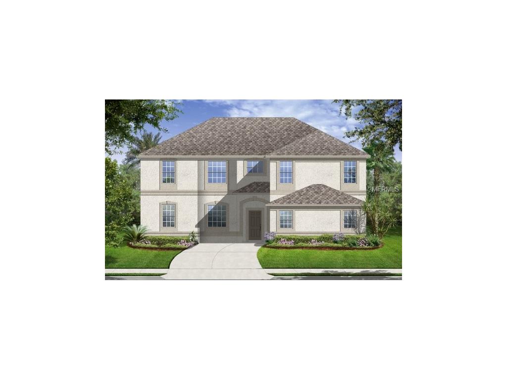 11620 Shelby Jay Dr, Riverview, FL 33579 photo 1