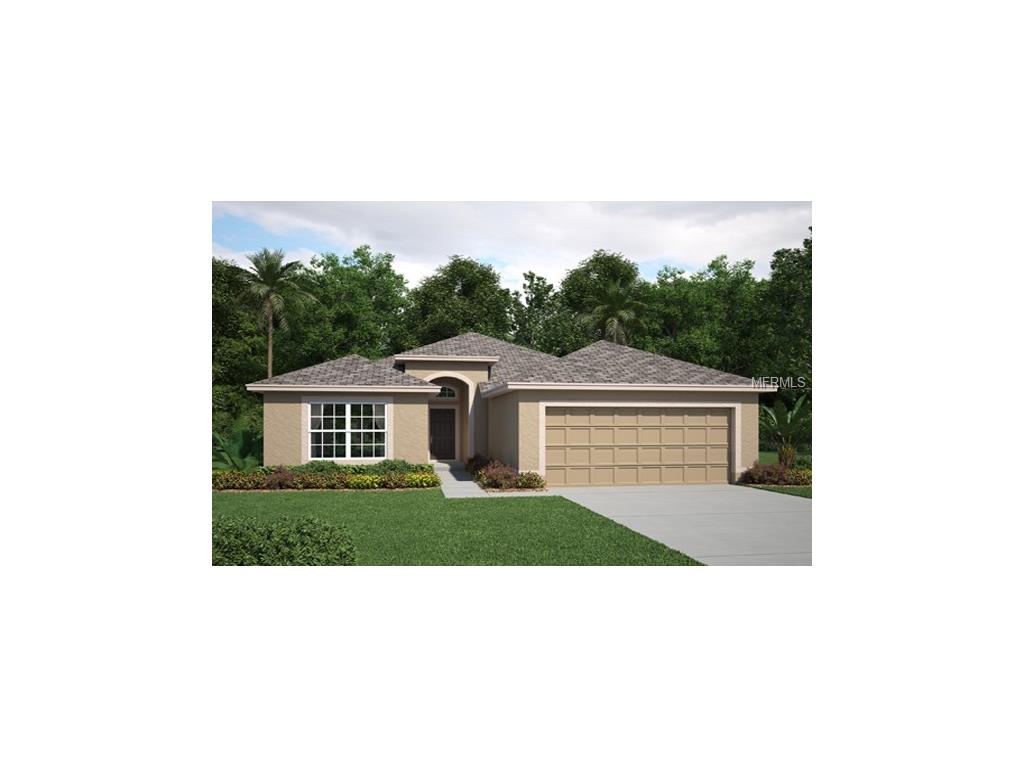 10921 Whitecap Dr, Riverview, FL 33579 photo 1