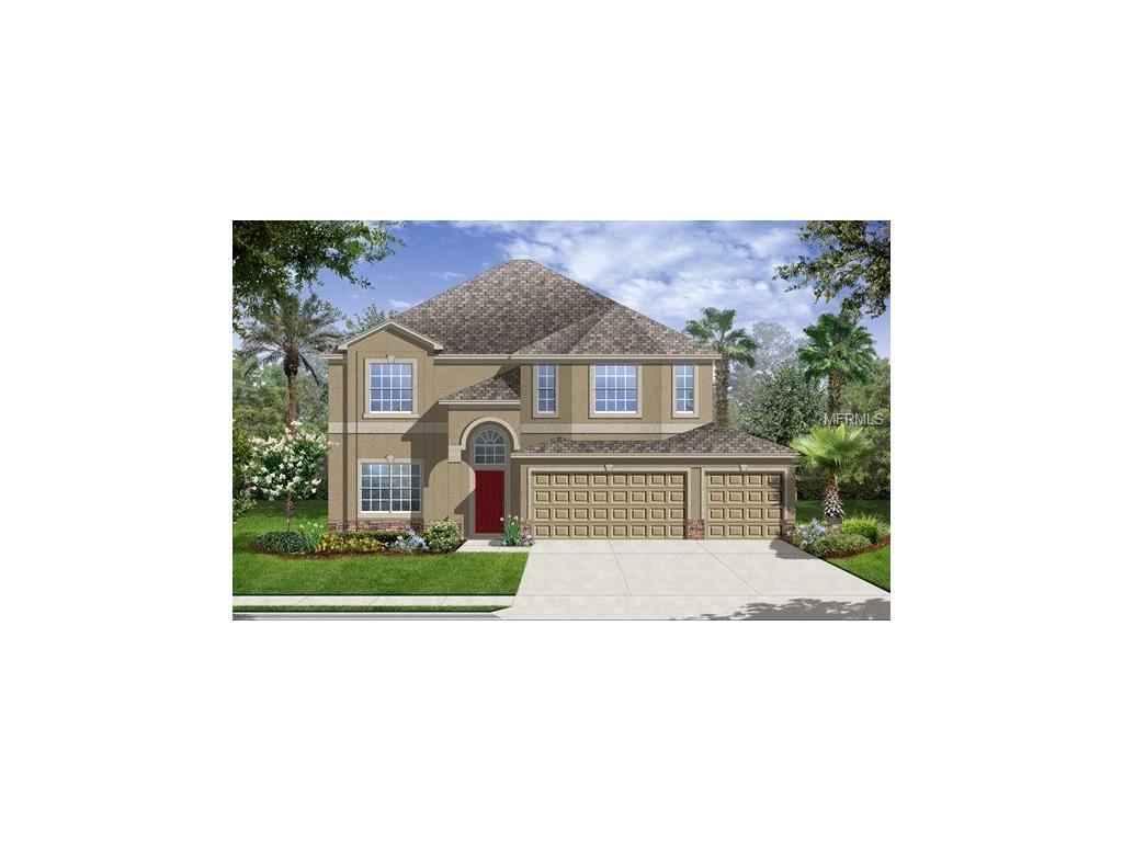 11622 Shelby Jay Dr, Riverview, FL 33579 photo 1