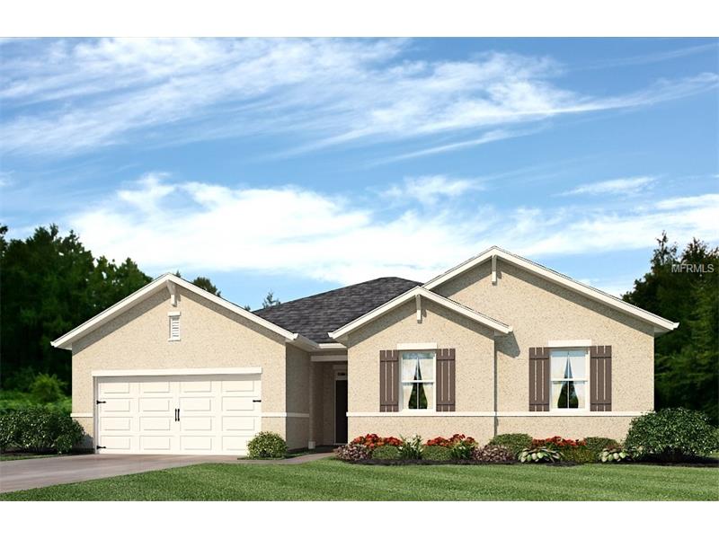 325 Sunny Field Ct, Eustis, FL 32726 photo 1