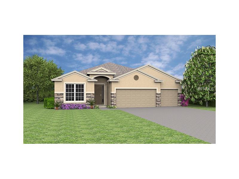 1909 Wind Meadows Dr, Bartow, FL 33830 photo 1