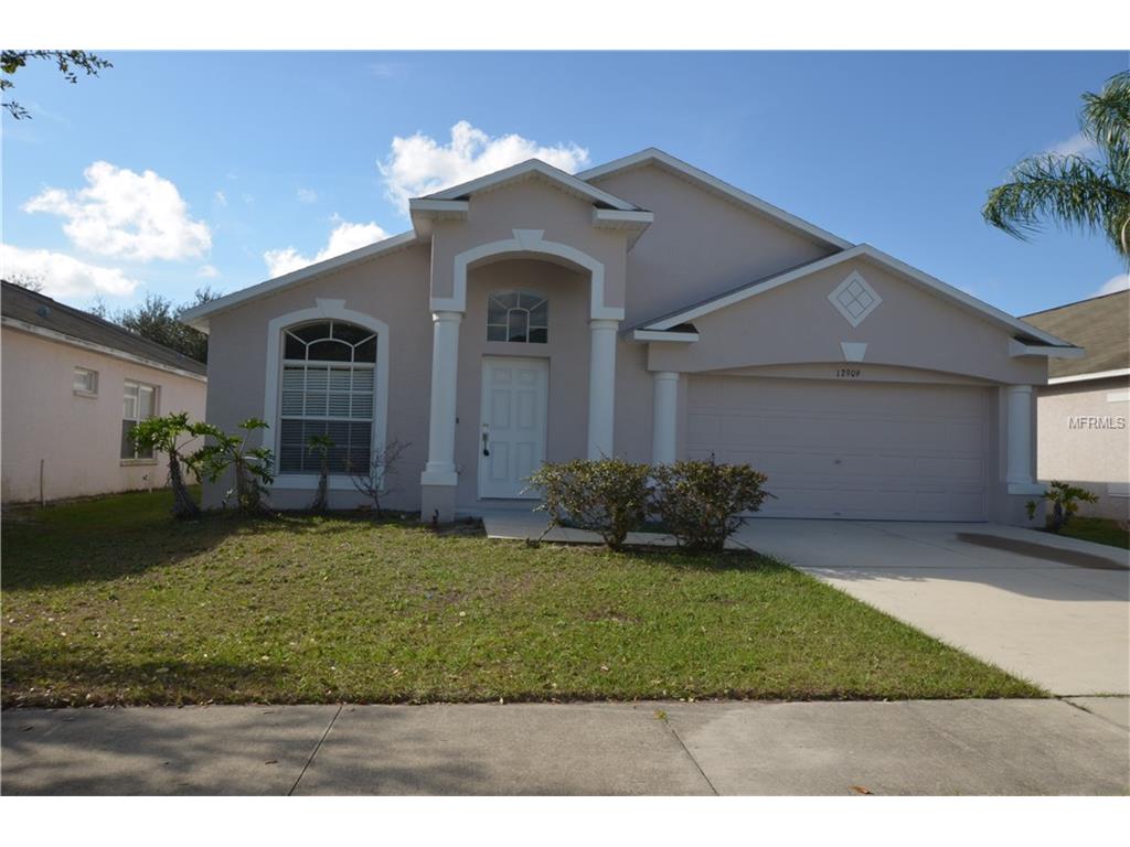12909 Tribute Dr, Riverview, FL 33578 photo 1