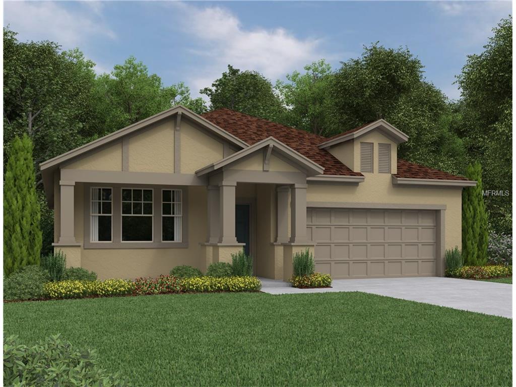 6913 Makers Way, Apollo Beach, FL 33572 photo 1