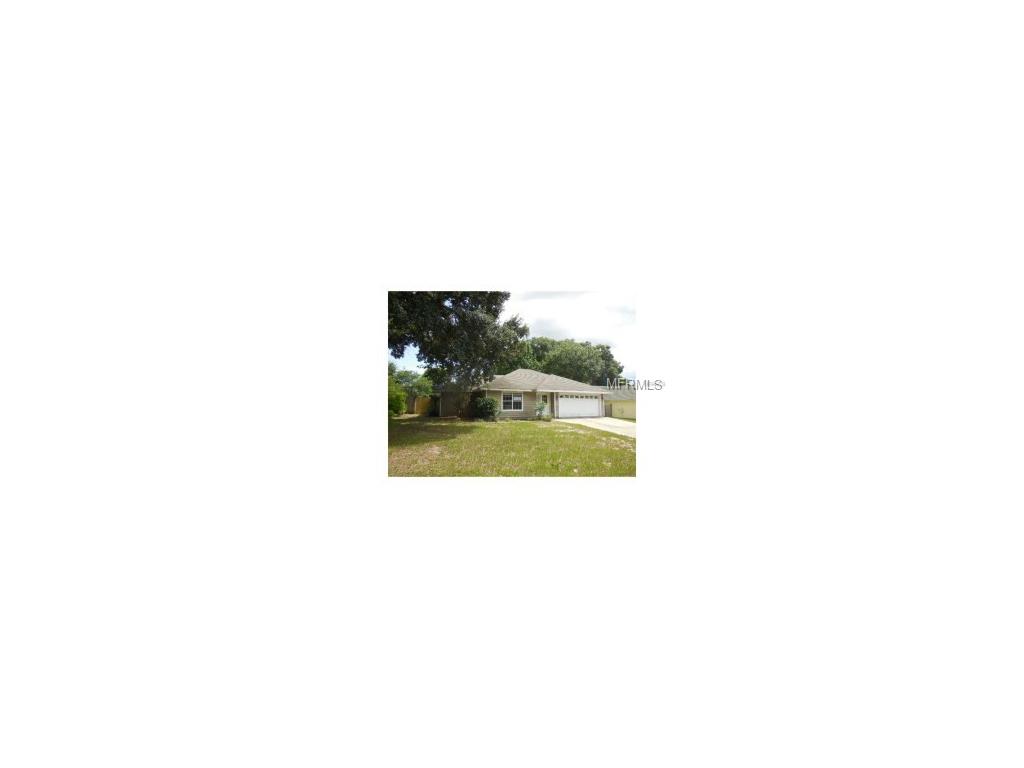 1740 Cobble Ln, Mount Dora, FL 32757 photo 1