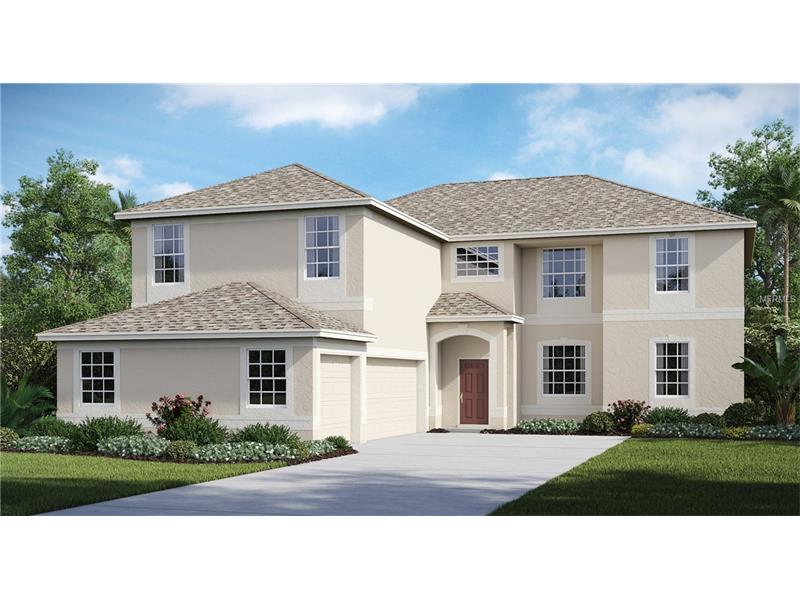 11610 Shelby Jay Dr, Riverview, FL 33579 photo 1