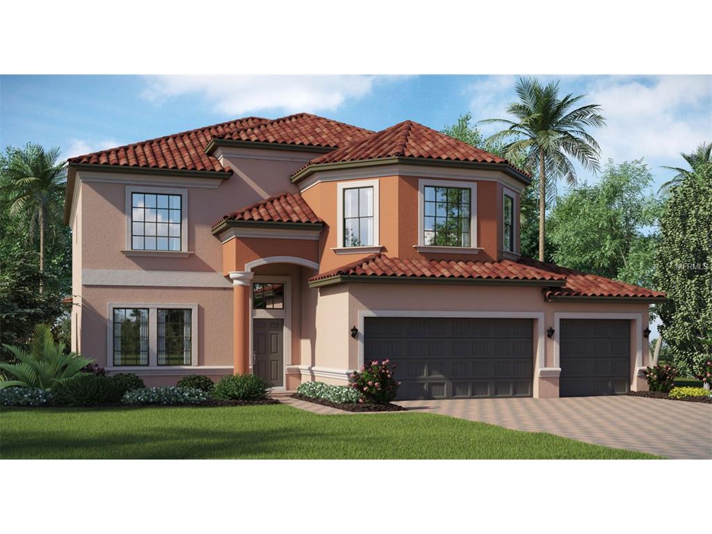 11909 Sand Myrtle Rd, Riverview, FL 33579 photo 1