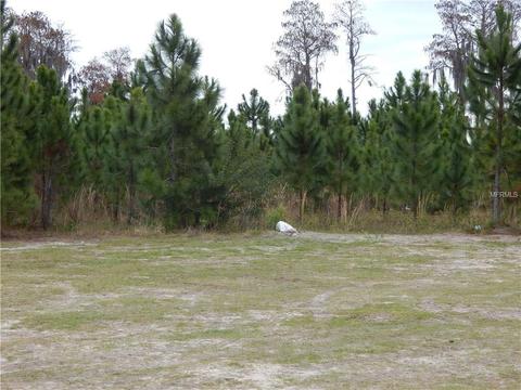 6103 Orta Ct, Windermere, FL 34786 photo 1