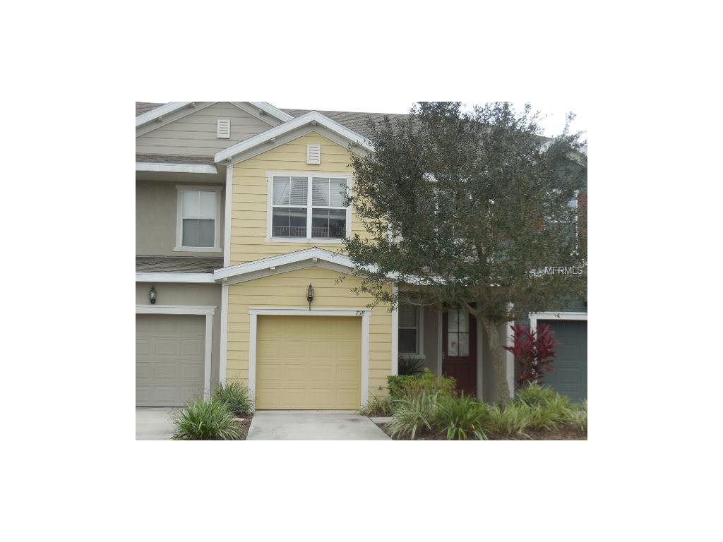 738 Chacall Loop, Mount Dora, FL 32757 photo 1