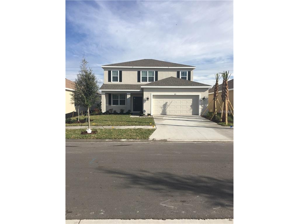 8215 Round Leaf Ln, Riverview, FL 33578 photo 1