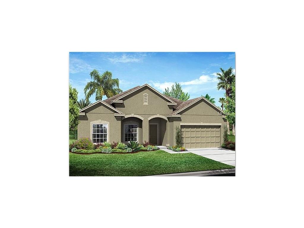 3972 Eternity Cir, Saint Cloud, FL 34772 photo 1