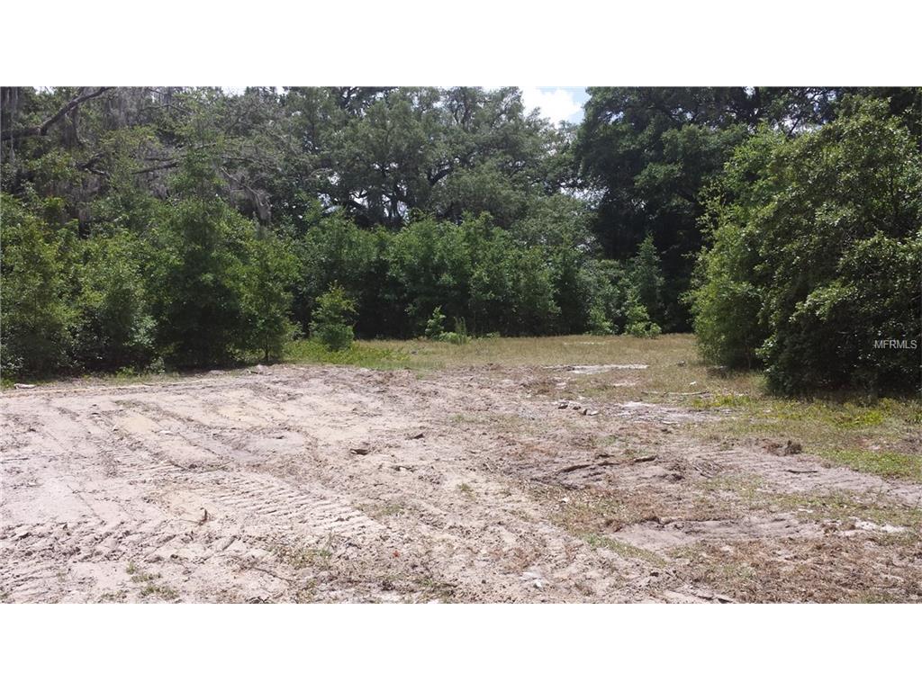 6052 Terrell Rd N, Mount Dora, FL 32757 photo 1