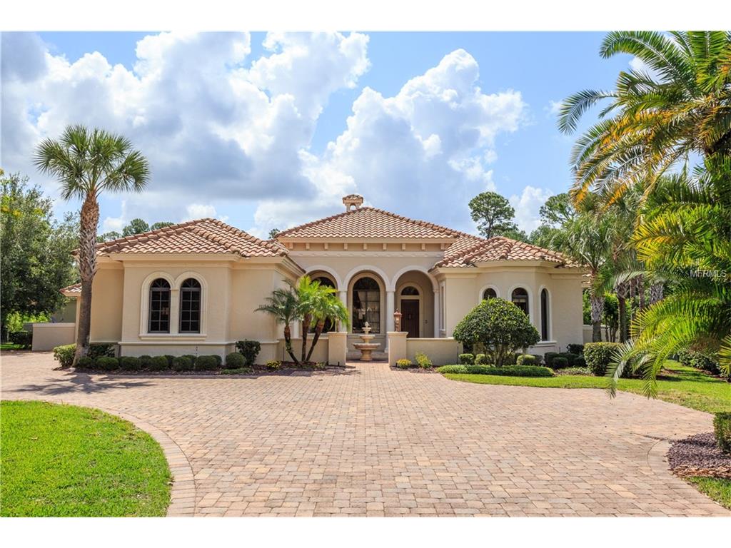 11154 Coniston Way, Windermere, FL 34786 photo 1