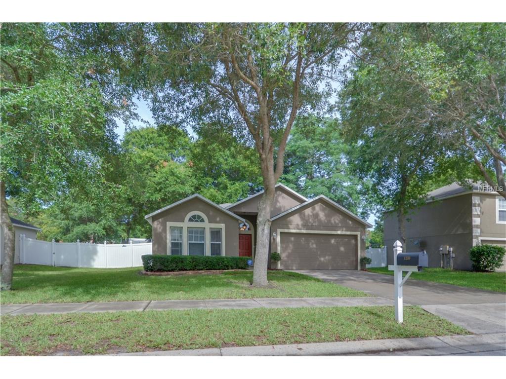 1210 Stonewater Cir, Ocoee, FL 34761 photo 1