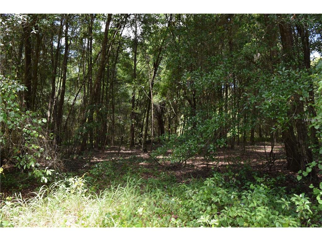724 Pine St, Ocoee, FL 34761 photo 1