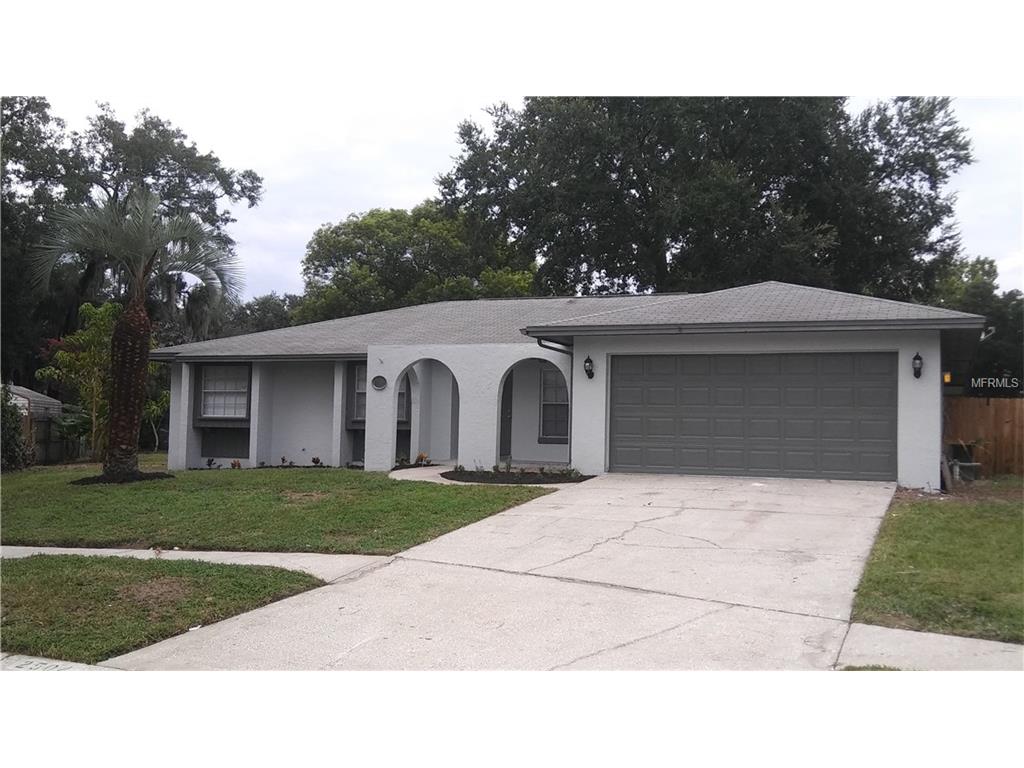 2504 Padre Pl, Seffner, FL 33584 photo 1