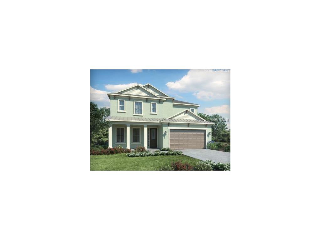 10429 Alcon Blue Dr, Riverview, FL 33578 photo 1
