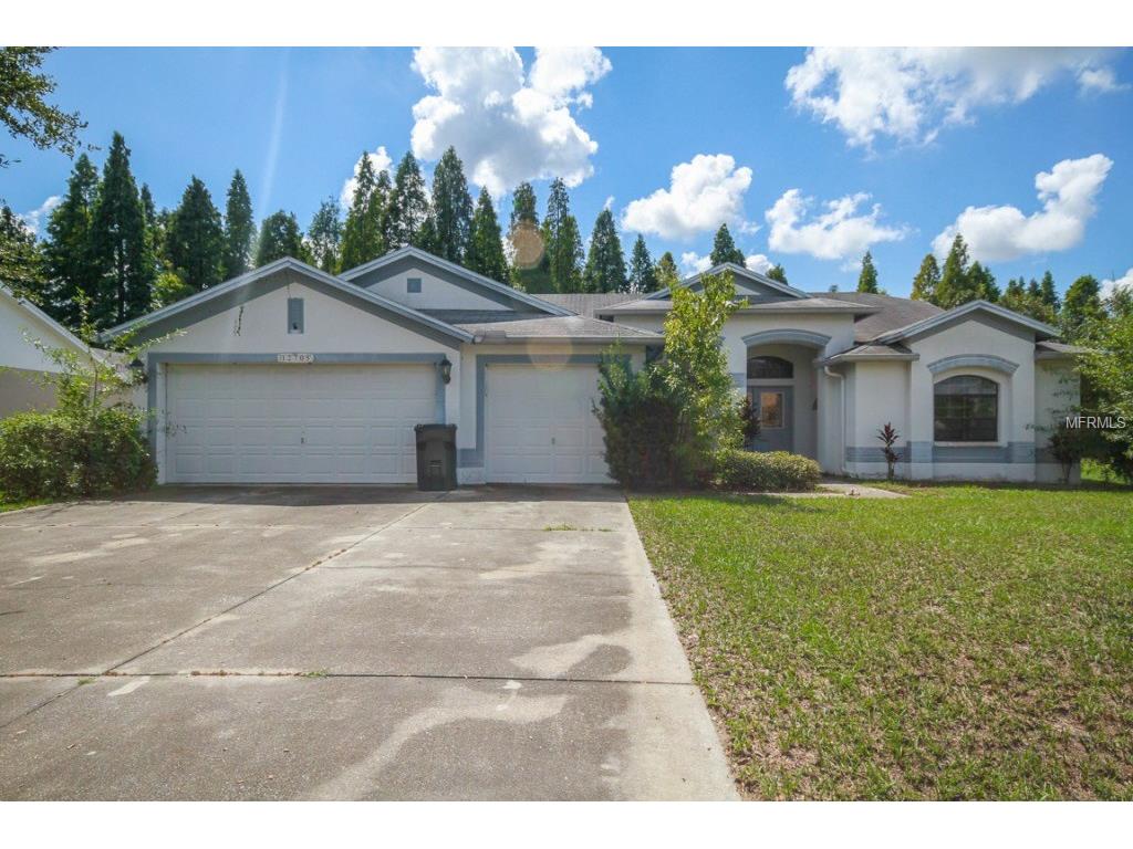 12705 Shadowcrest Ct, Riverview, FL 33569 photo 1