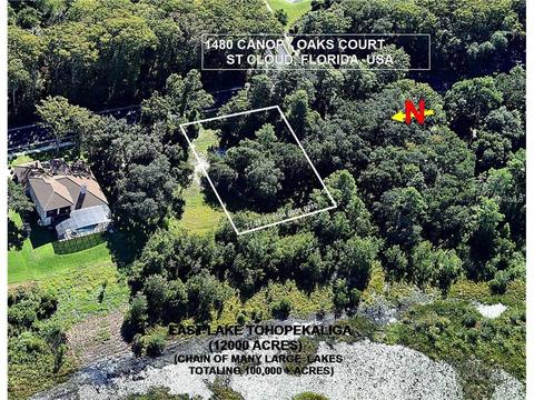 1480 Canopy Oaks Ct, Saint Cloud, FL 34771 photo 1