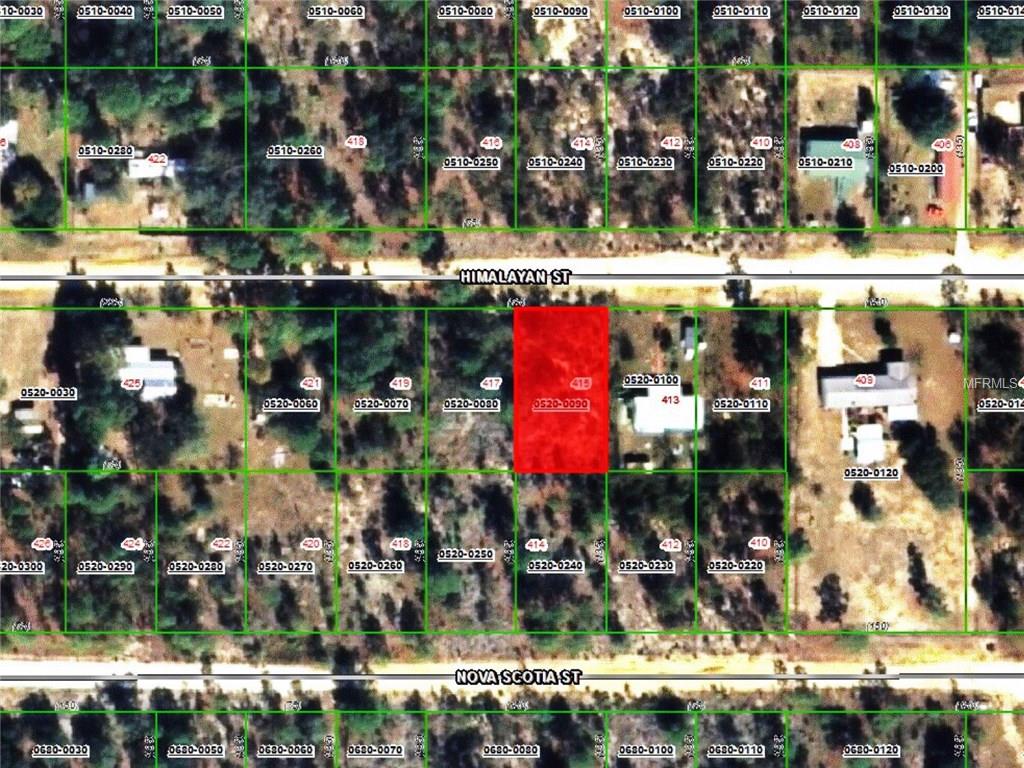 415 Himalayan St, Interlachen, FL 32148 photo 1