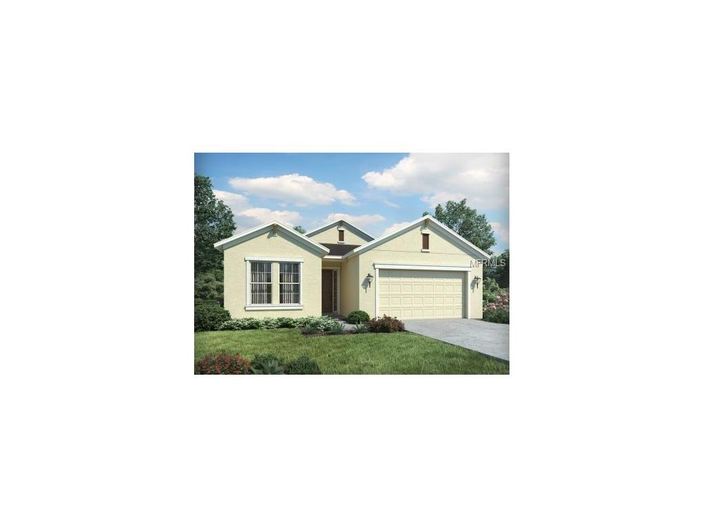 10520 Cardera Dr, Riverview, FL 33578 photo 1