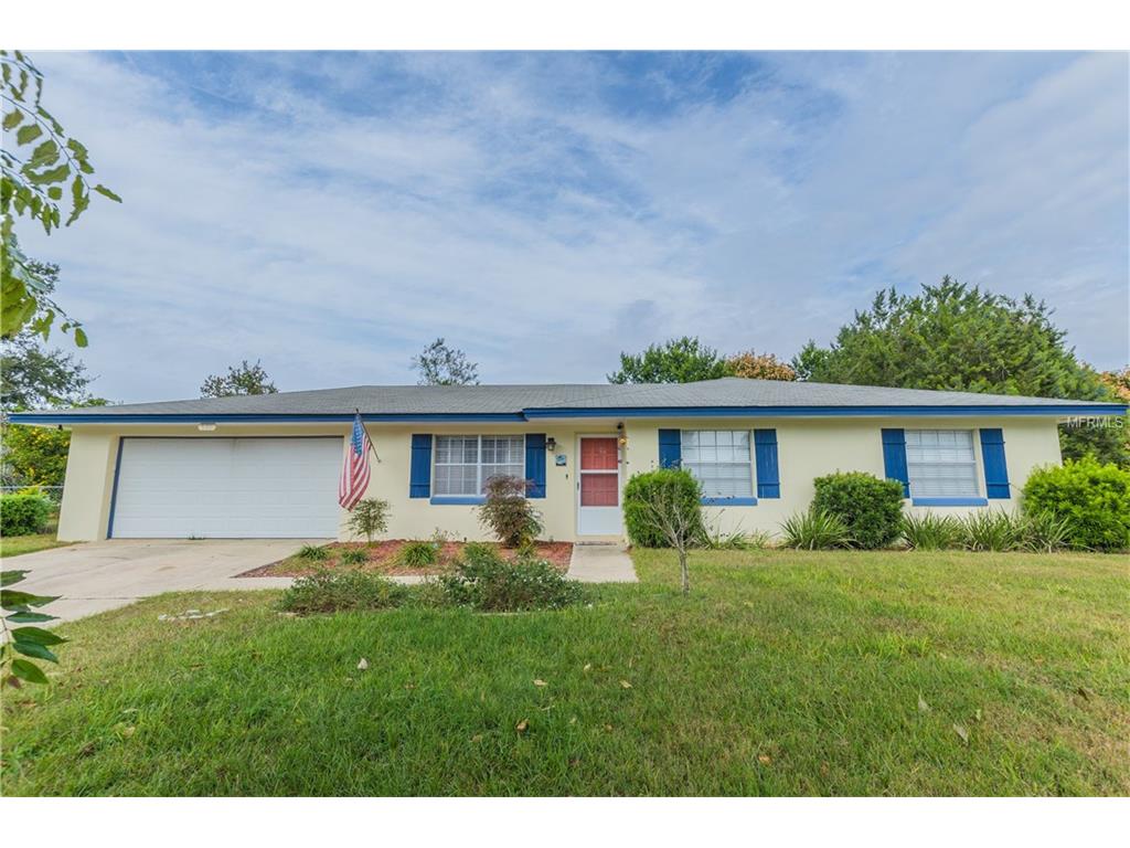 680 Oleander St, Mount Dora, FL 32757 photo 1