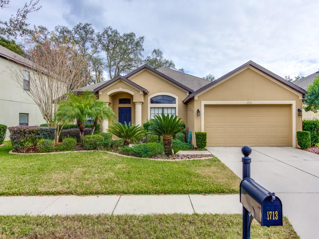 1713 Abbey Trace Dr, Dover, FL 33527 photo 1