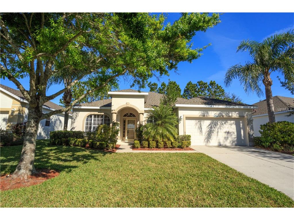 3446 Capland Ave, Clermont, FL 34711 photo 1
