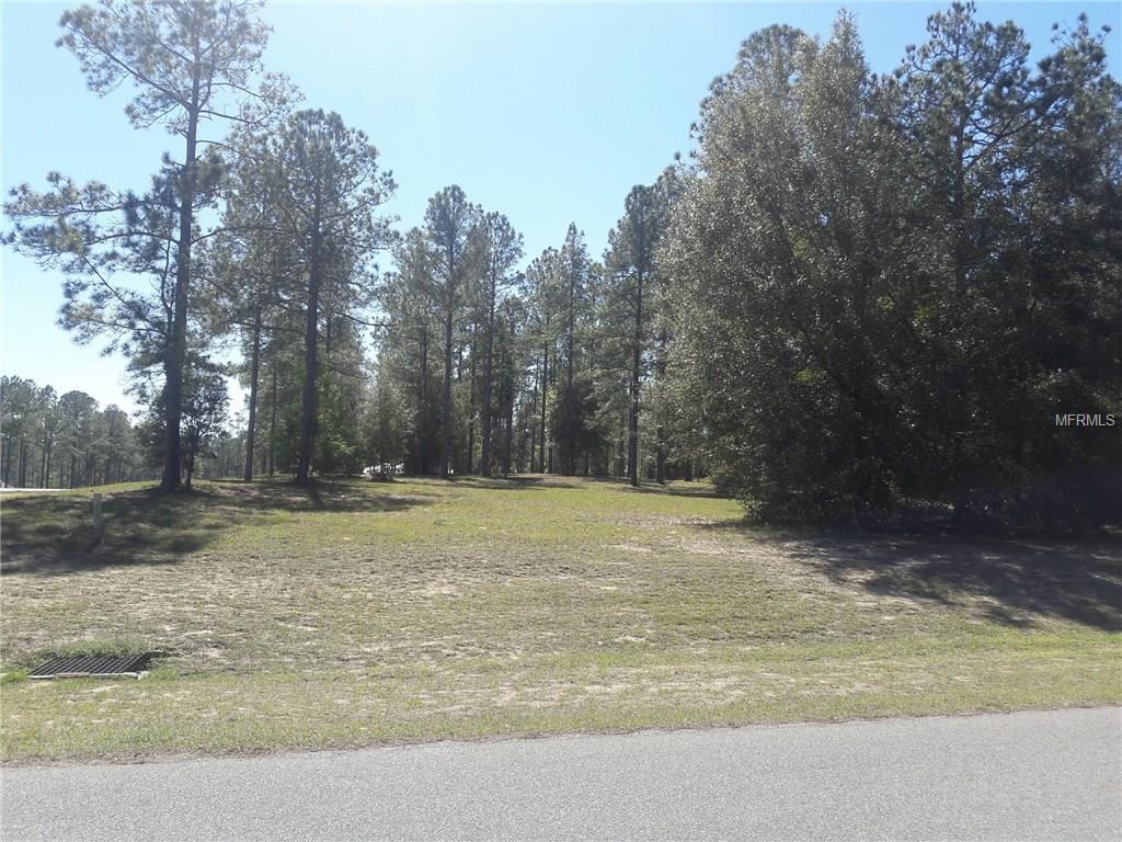 35702 High Pines Dr, Eustis, FL 32736 photo 1