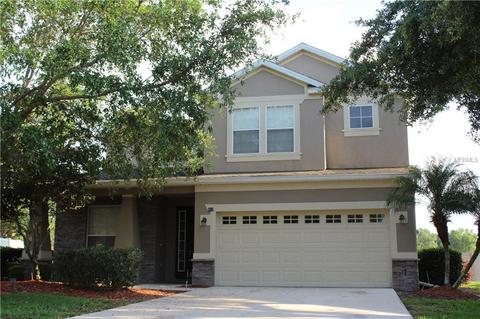 437 Chestnut Oak Ct, Eustis, FL 32736 photo 1
