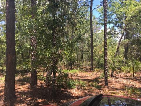217 Dothan St, Interlachen, FL 32148 photo 1