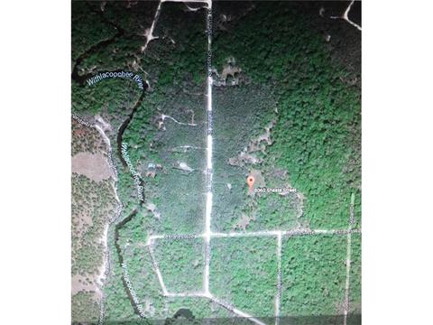 8060 Shasta St, Webster, FL 33597 photo 1