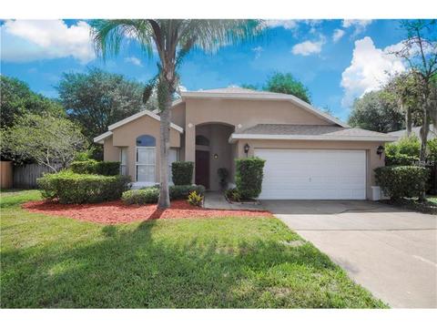 580 Bridge Creek Blvd, Ocoee, FL 34761 photo 1