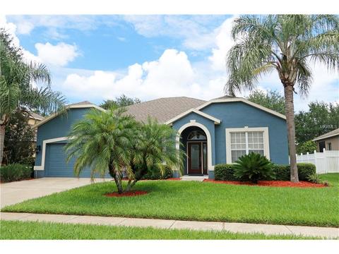 541 Belhaven Falls Dr, Ocoee, FL 34761 photo 1