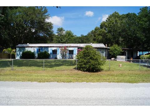 10313 Stelling Dr, Riverview, FL 33578 photo 1