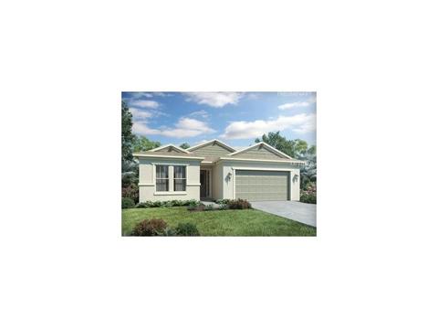 10667 Cardera Dr, Riverview, FL 33578 photo 1