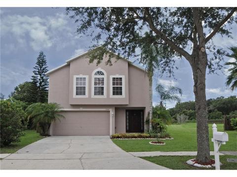 11341 Ivy Flower Loop, Riverview, FL 33578 photo 1