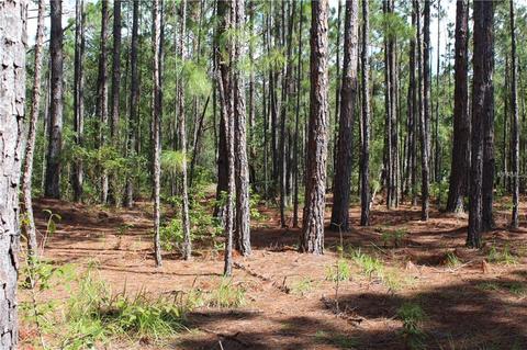 32726 Tropical Drive, Eustis, FL 32726 photo 1