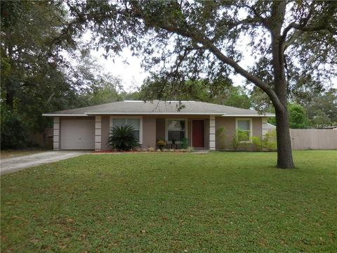 36127 Michigan Dr, Eustis, FL 32736 photo 1