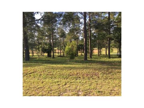 35405 Pinegate Trl, Eustis, FL 32736 photo 1
