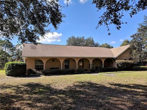 36313 Leslye Ln, Eustis, FL 32736 photo 1