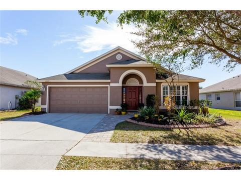 10309 Soaring Eagle Dr, Riverview, FL 33578 photo 1