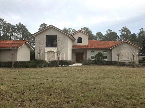24102 Wagonwheel Ct, Eustis, FL 32736 photo 1