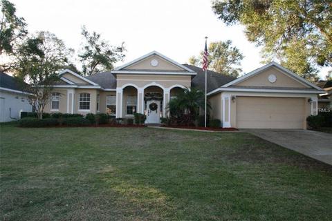 2121 Wolf Ridge Ln, Mount Dora, FL 32757 photo 1