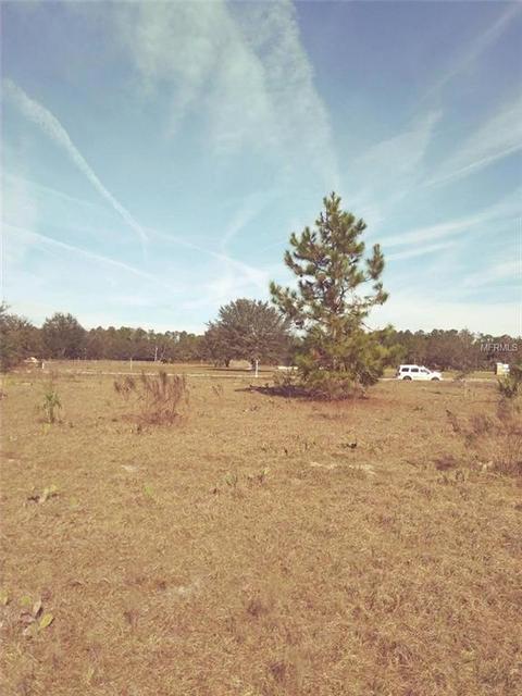 22180 Deer Park Ave, Eustis, FL 32736 photo 1