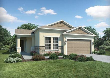 10665 Cardera Dr, Riverview, FL 33578 photo 1