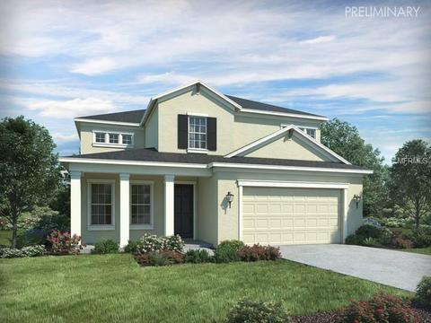 10602 Cardera Dr, Riverview, FL 33578 photo 1