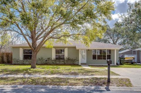 407 Little Spring Hill Dr, Ocoee, FL 34761 photo 1