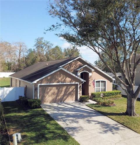 678 Bridge Creek Blvd, Ocoee, FL 34761 photo 1