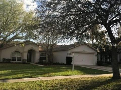 10514 Sedgebrook Dr, Riverview, FL 33569 photo 1