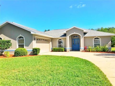 2234 Summer Raye Ct, Saint Cloud, FL 34772 photo 1